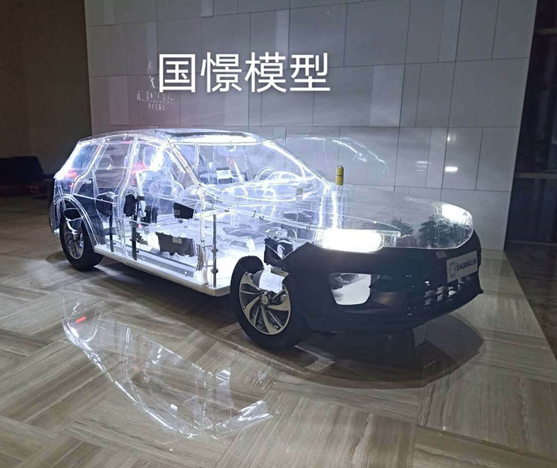 永州透明车模型